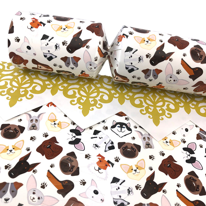 Dog Faces | Cracker Making Craft Kit | Make &amp; Fill Your Own