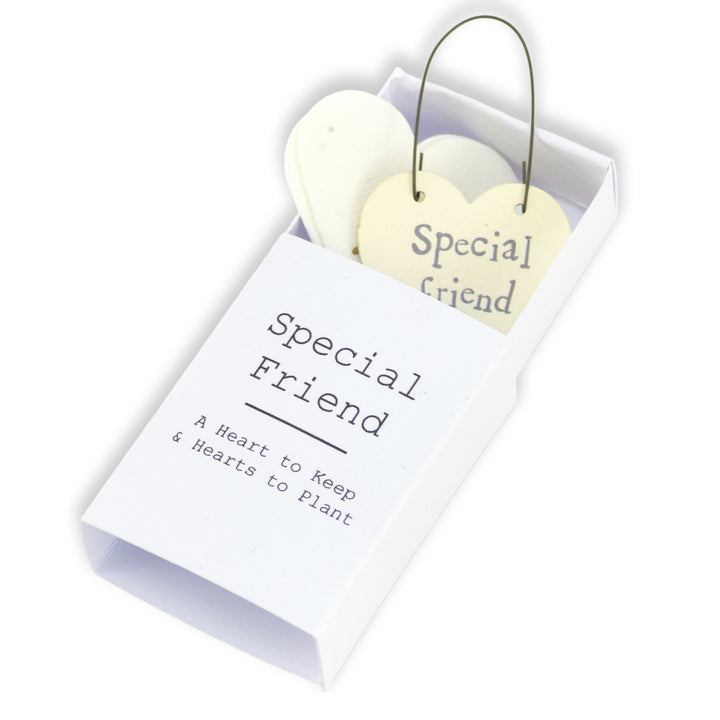 Special Friend | Hearts to Keep and to Plant | Cracker Filler | Mini Gift