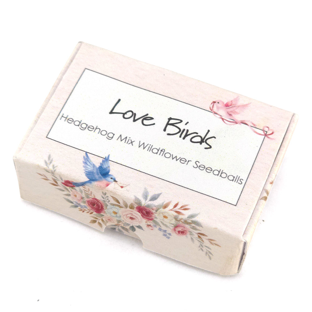Love Birds | Hedgehog Friendly Seedball Box | Valentines Cracker Gift