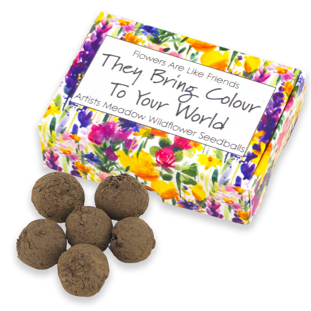 Flowers Are Like Friends | Artist Mix | 6 Seedball Box | Cracker Filler Gift
