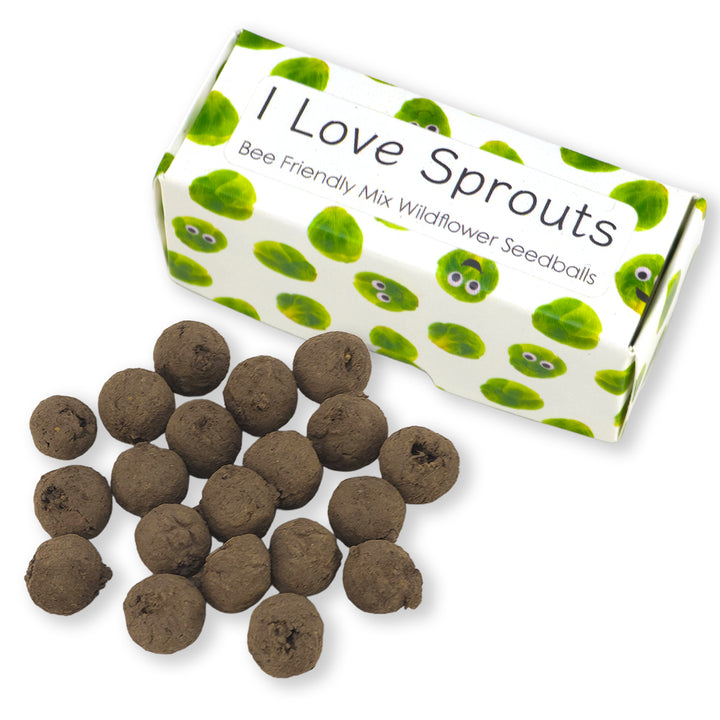 I Love Sprouts | Box of 20 Bee Mix Seedballs | Cracker Filler | Little Gift