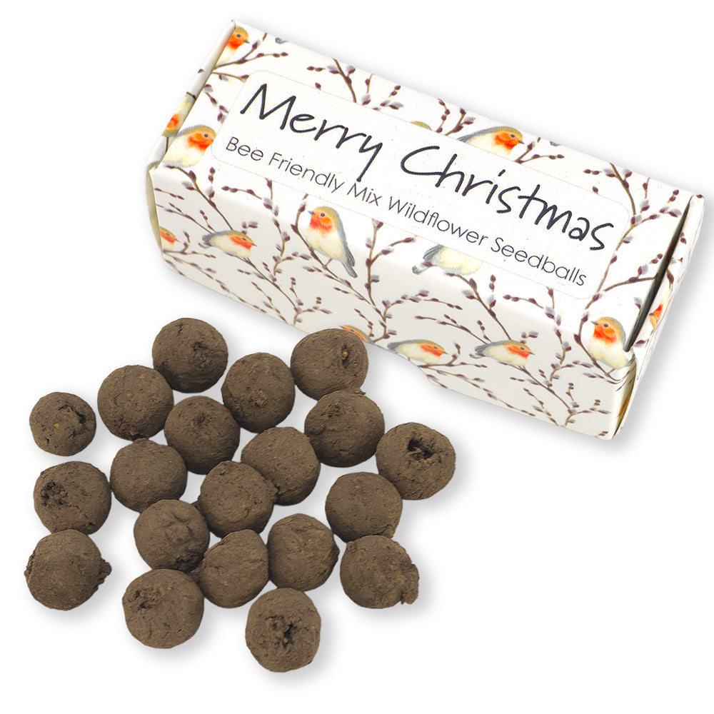 Willow & Robin | Merry Christmas | Box of 20 Bee Mix Seedballs | Cracker Filler