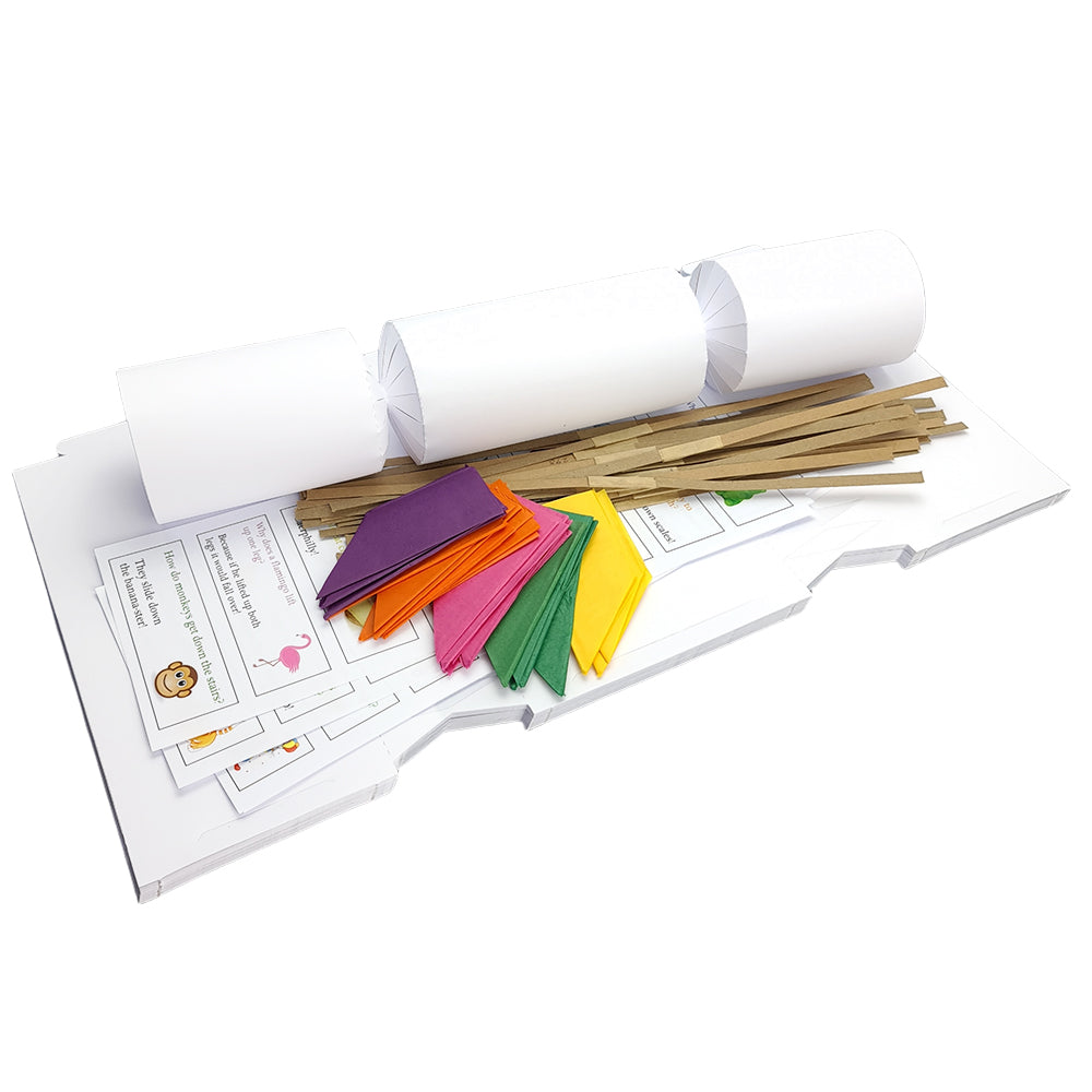 White Basic Make &amp; Fill Your Own Crackers | DIY Recyclable | Cracker Craft Kits
