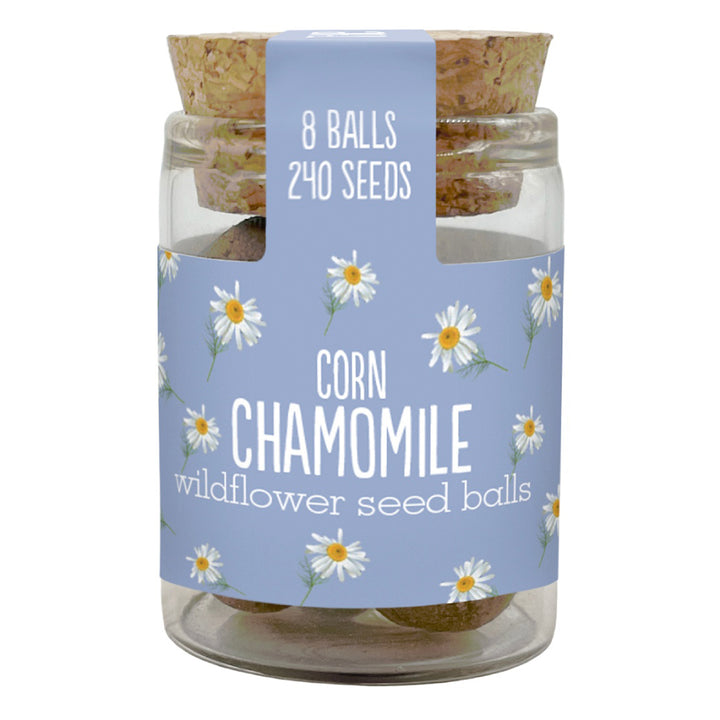 Gorgeous Wildflower Seed Ball Jar | 8 Balls | Cracker Filler | Little Gift