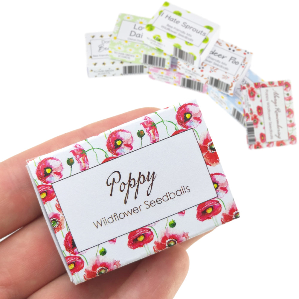 Watercolour Poppies | 6 Seedball Box | Cracker Filler | Little Gift