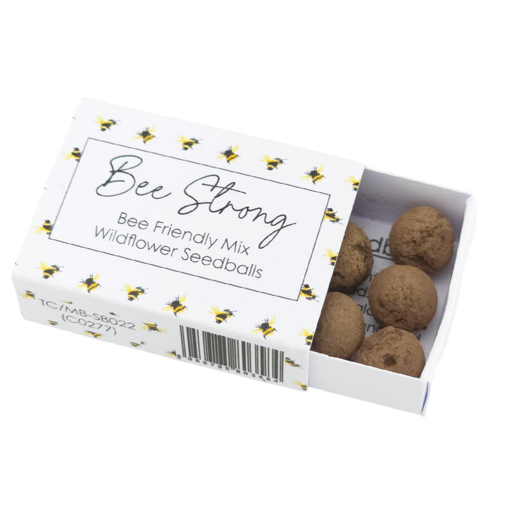 Bee Strong | 6 Seedball Matchbox | Bee Mix | Cracker Filler | Little Gift