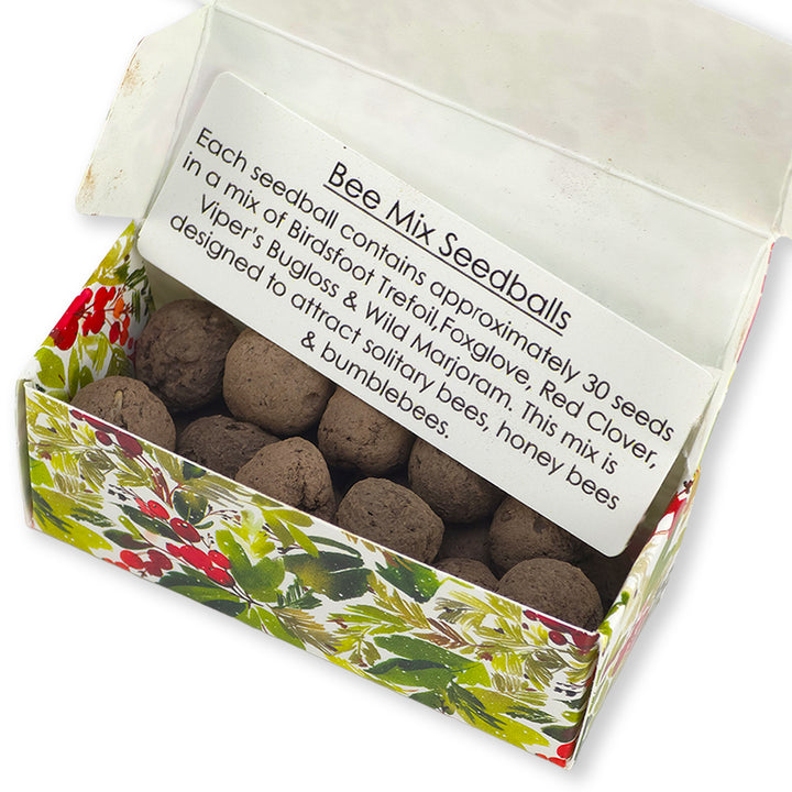 Watercolour Berries | Merry Christmas | 20 Bee Mix Seedballs | Cracker Filler