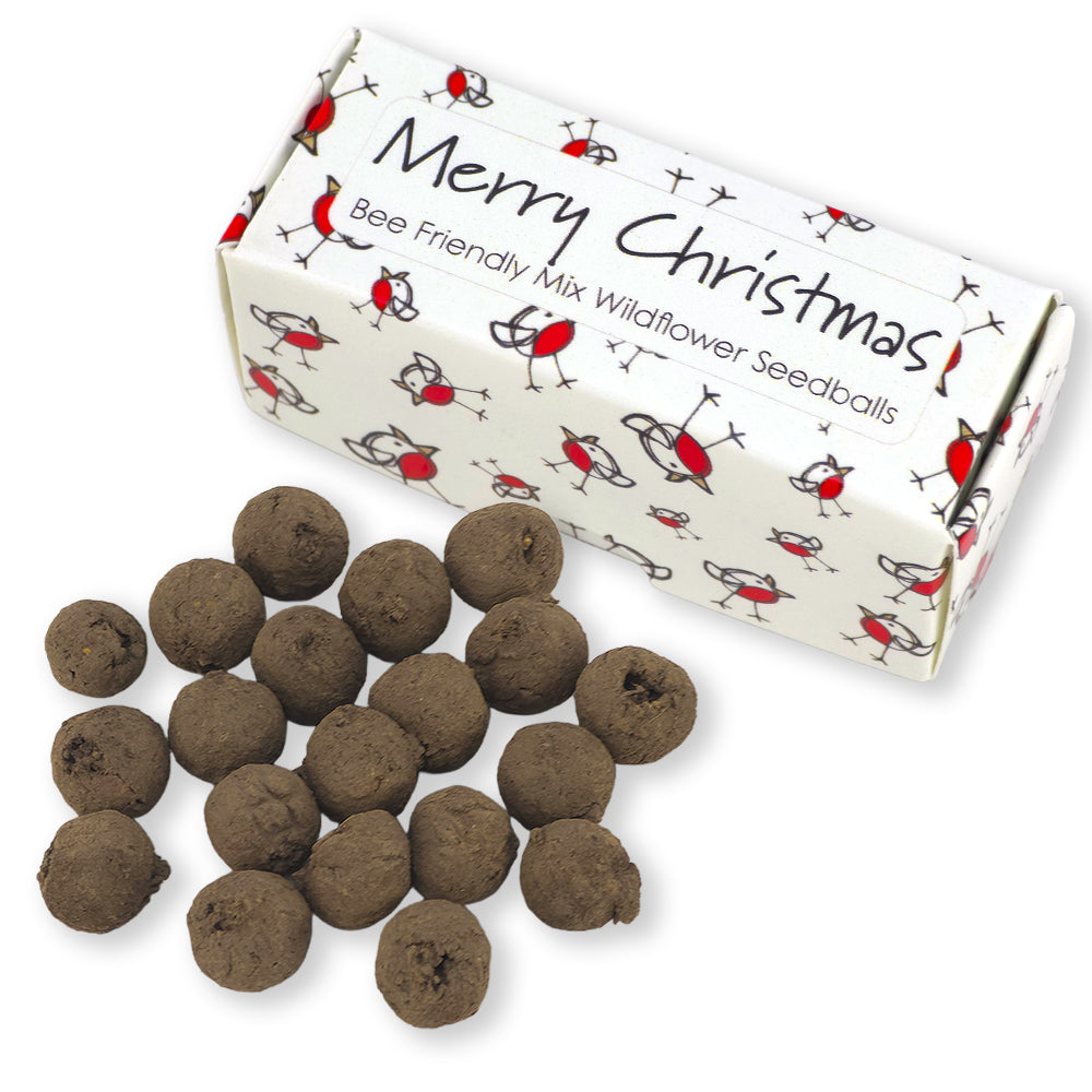 Chirpy Robin | Merry Christmas | Box of 20 Bee Mix Seedballs | Cracker Filler