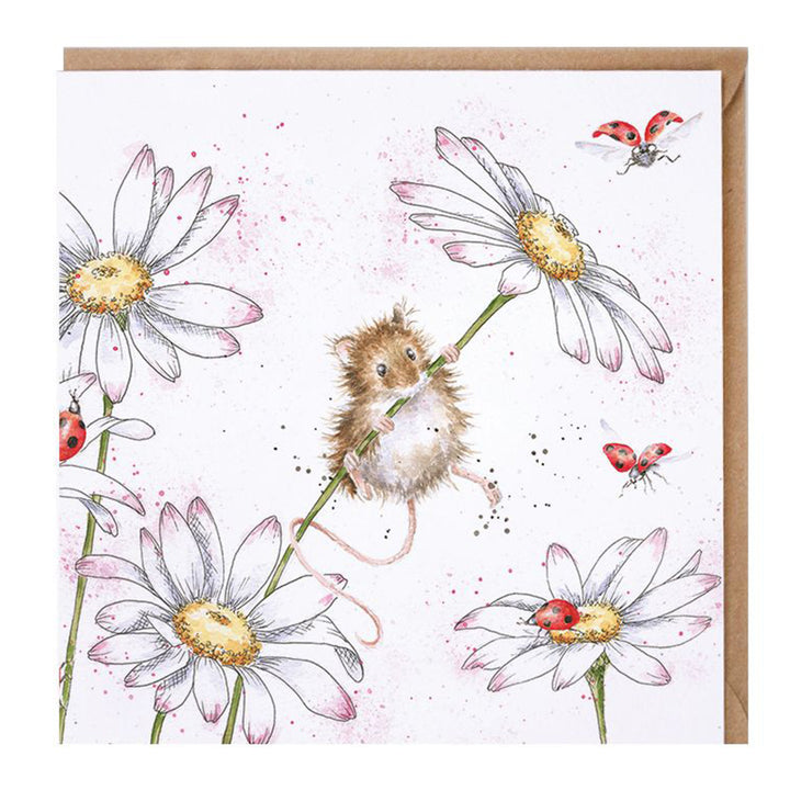 Oops a Daisy | Blank Card | 15x15cm | Wrendale Designs