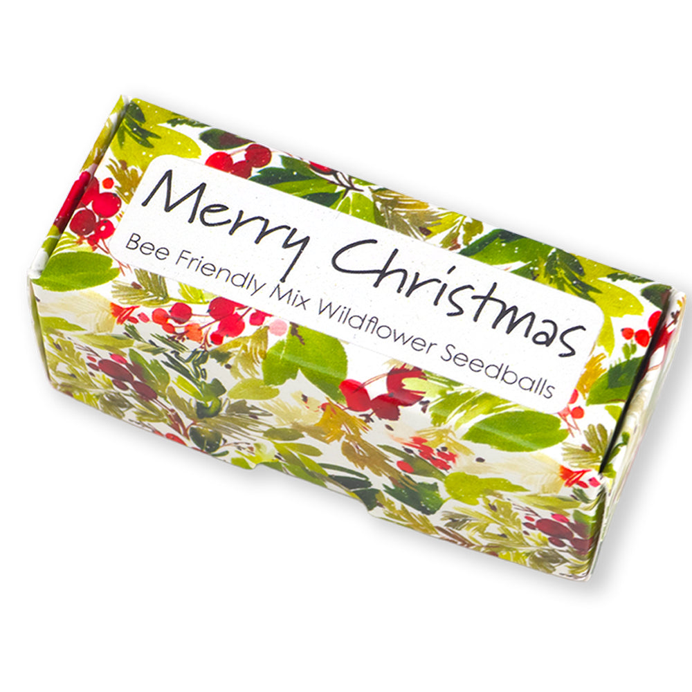 Watercolour Berries | Merry Christmas | 20 Bee Mix Seedballs | Cracker Filler