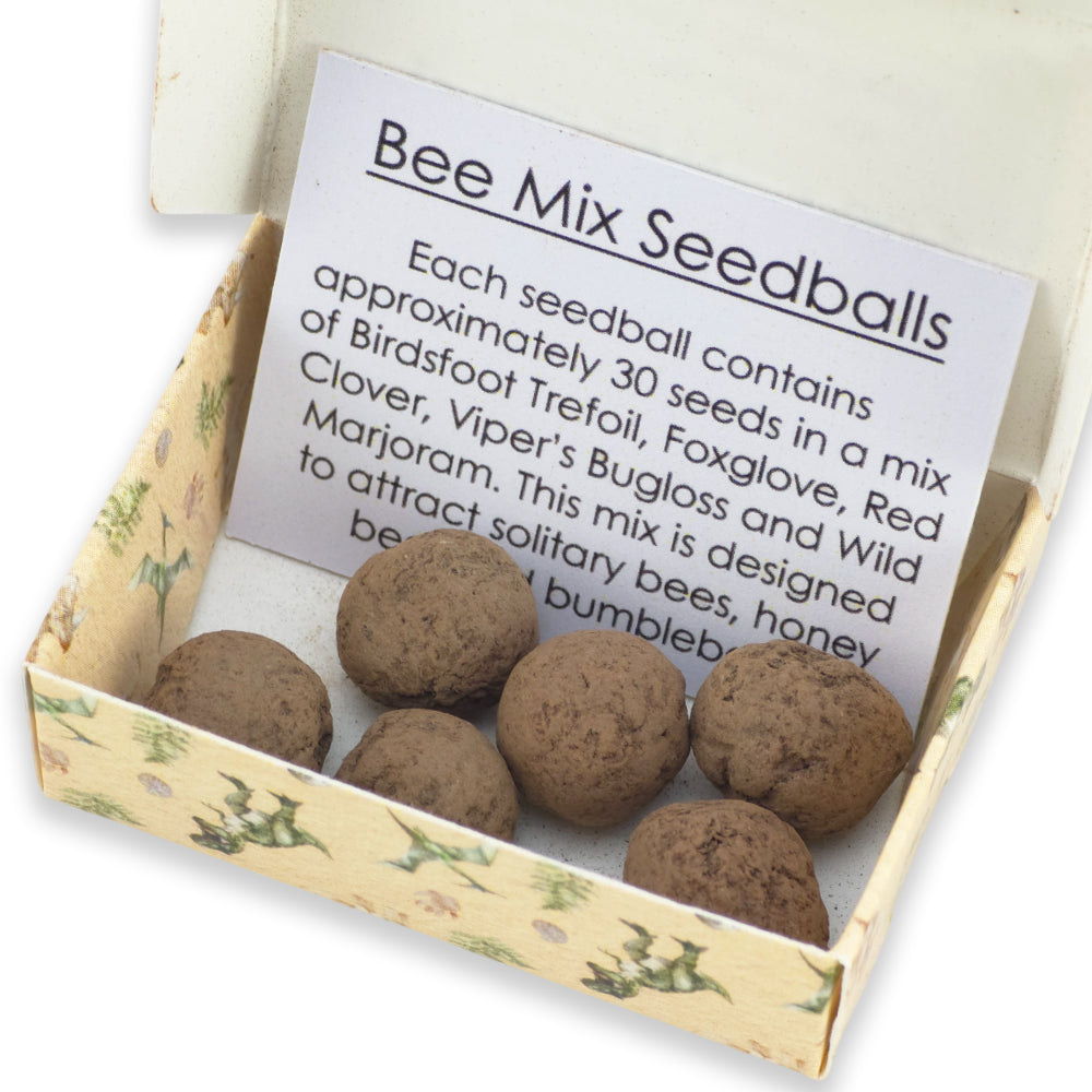 Dinosaur Poos | 6 Seedball Matchbox | Bee Mix | Cracker Filler | Little Gift