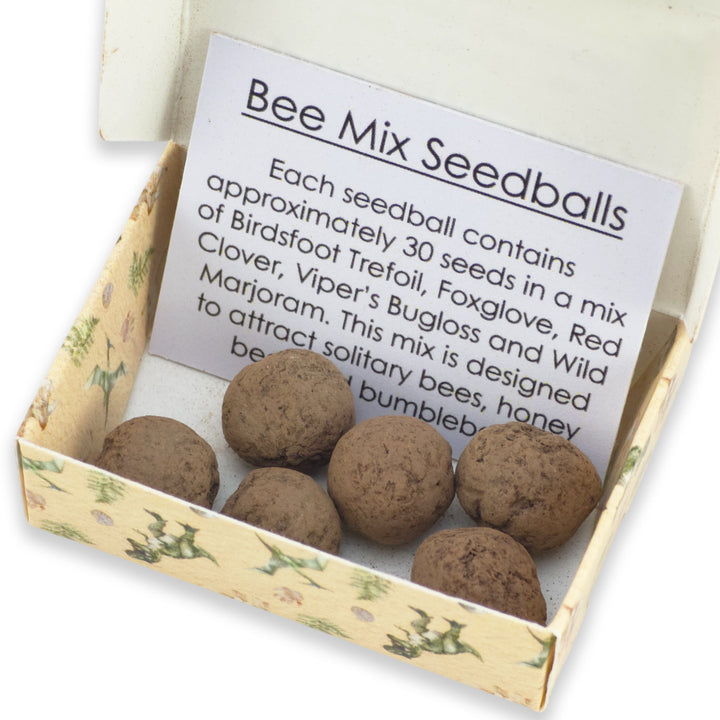 Dinosaur Poos | 6 Seedball Matchbox | Bee Mix | Cracker Filler | Little Gift