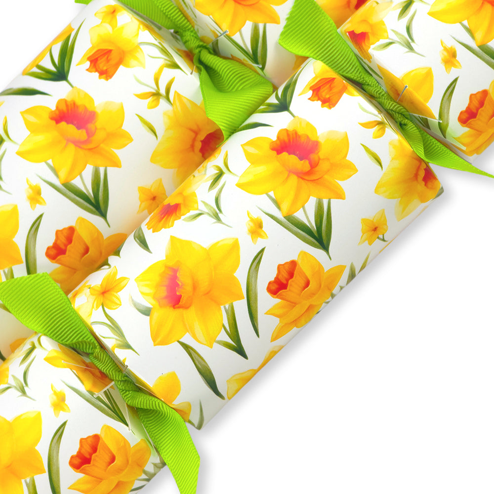 Spring Daffodils | Cracker Making Craft Kit | Make &amp; Fill Your Own