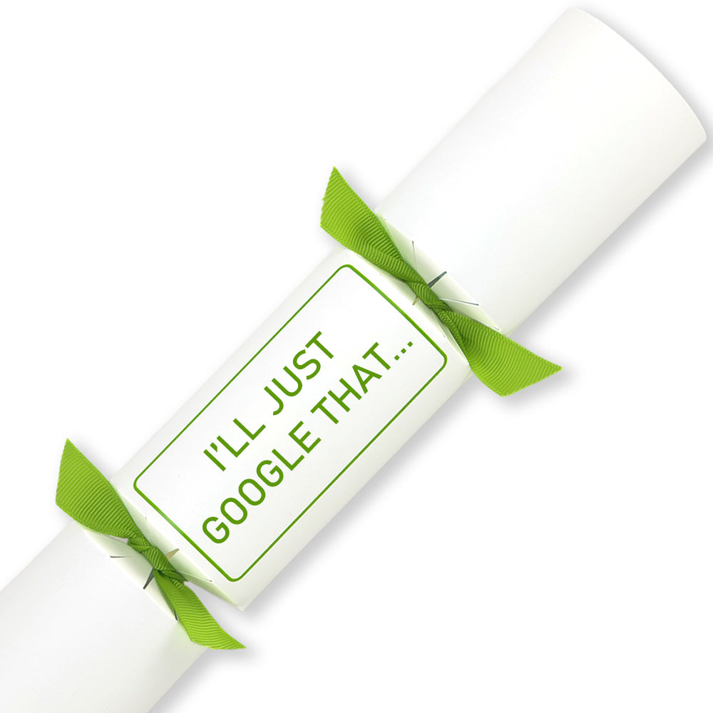 I'll Just Google That... | Single Cracker Making Craft Kit | Office Banter