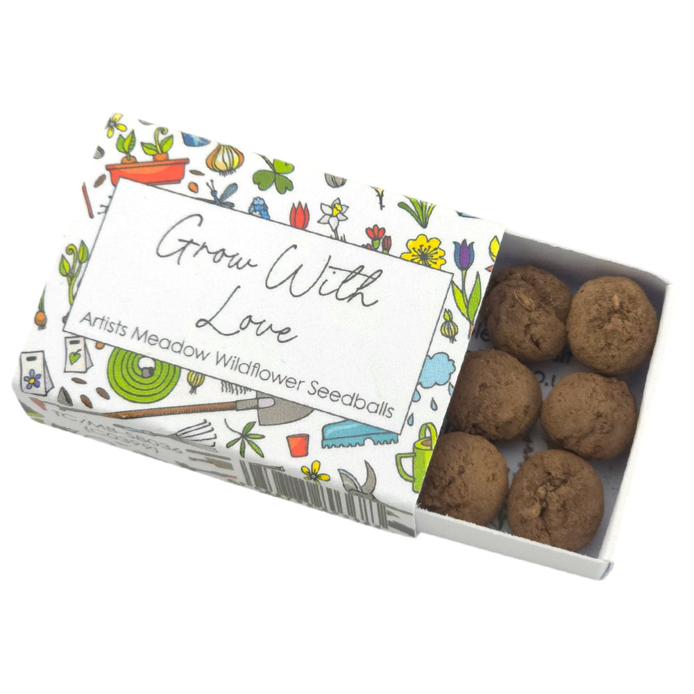 Grow with Love | Artist Mix | 6 Seedball Box | Cracker Filler | Little Gift