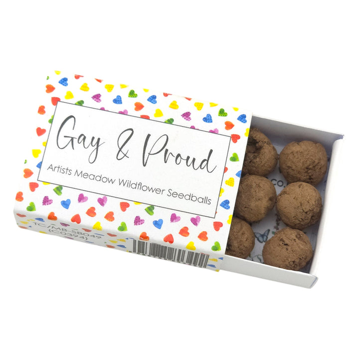 Gay and Proud | Artist Mix | Seedball Box | Cracker Filler | Mini Gift