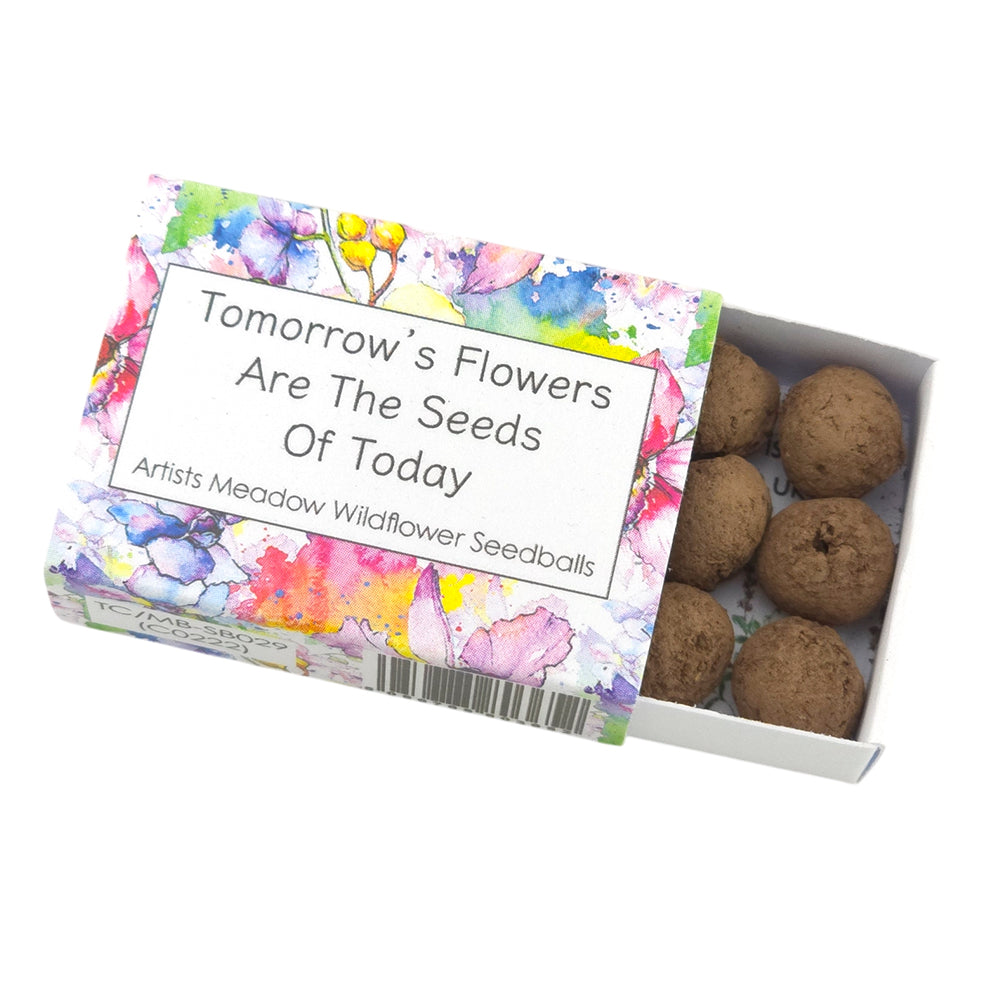 Tomorrows Flowers | Artist Mix Seedball Box | Cracker Filler | Mini Gift