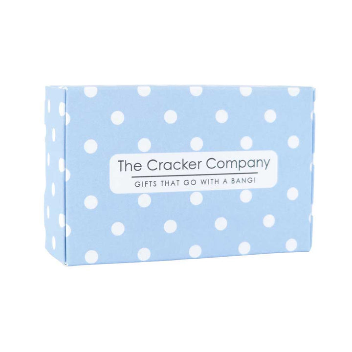 Christmas Mistletoe | Silver Tone Drop Earrings | Little Gift | Cracker Filler