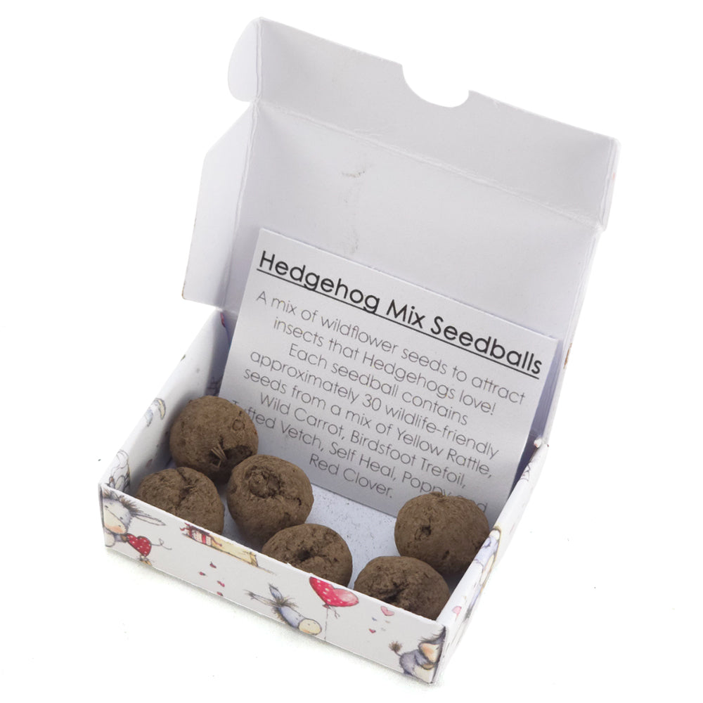 Cute Donkey Love | Hedgehog Friendly Seedball Box | Valentines Cracker Gift