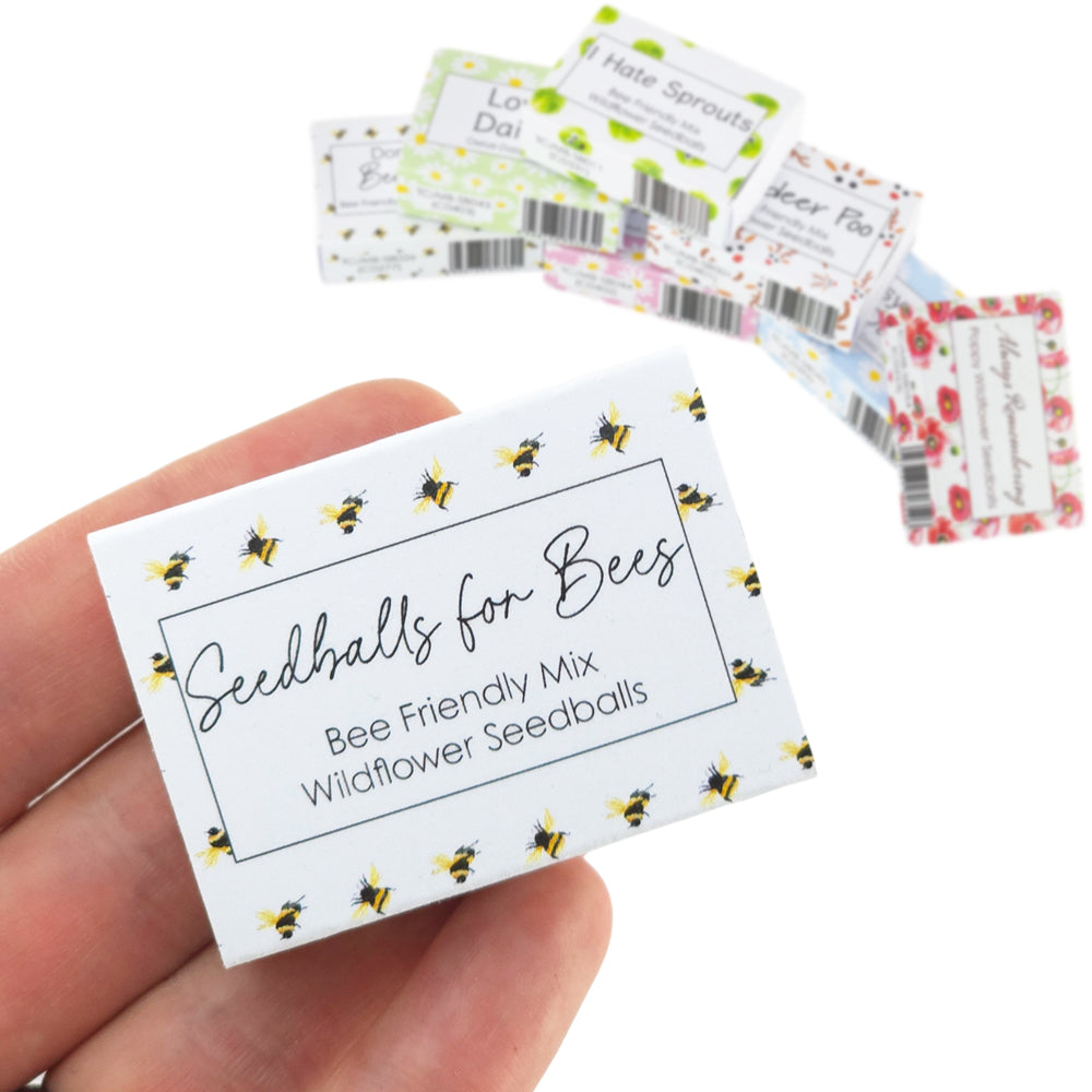 Watercolour Bee | 6 Seedball Matchbox | Bee Mix | Cracker Filler | Little Gift