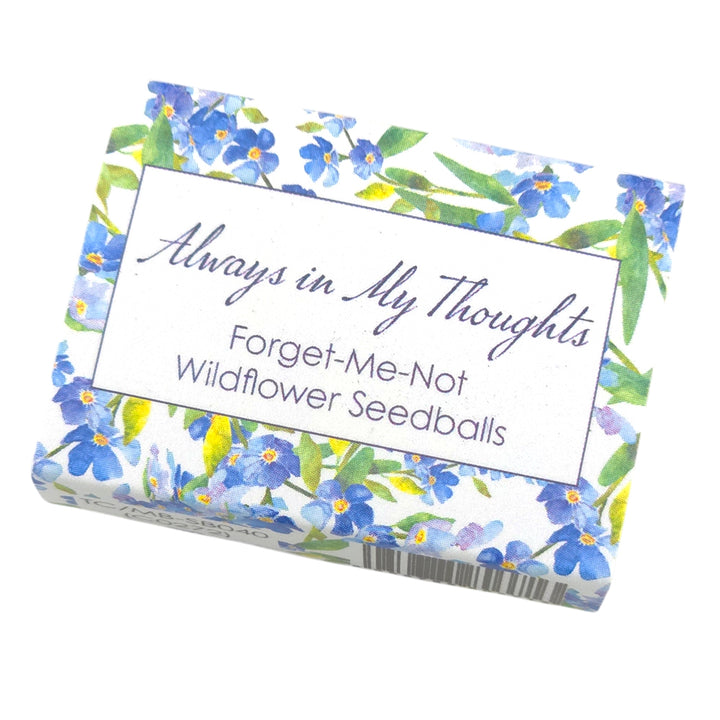 Always in My Thoughts | Forget Me Nots |  6 Seedballs | Cracker Filler Gift