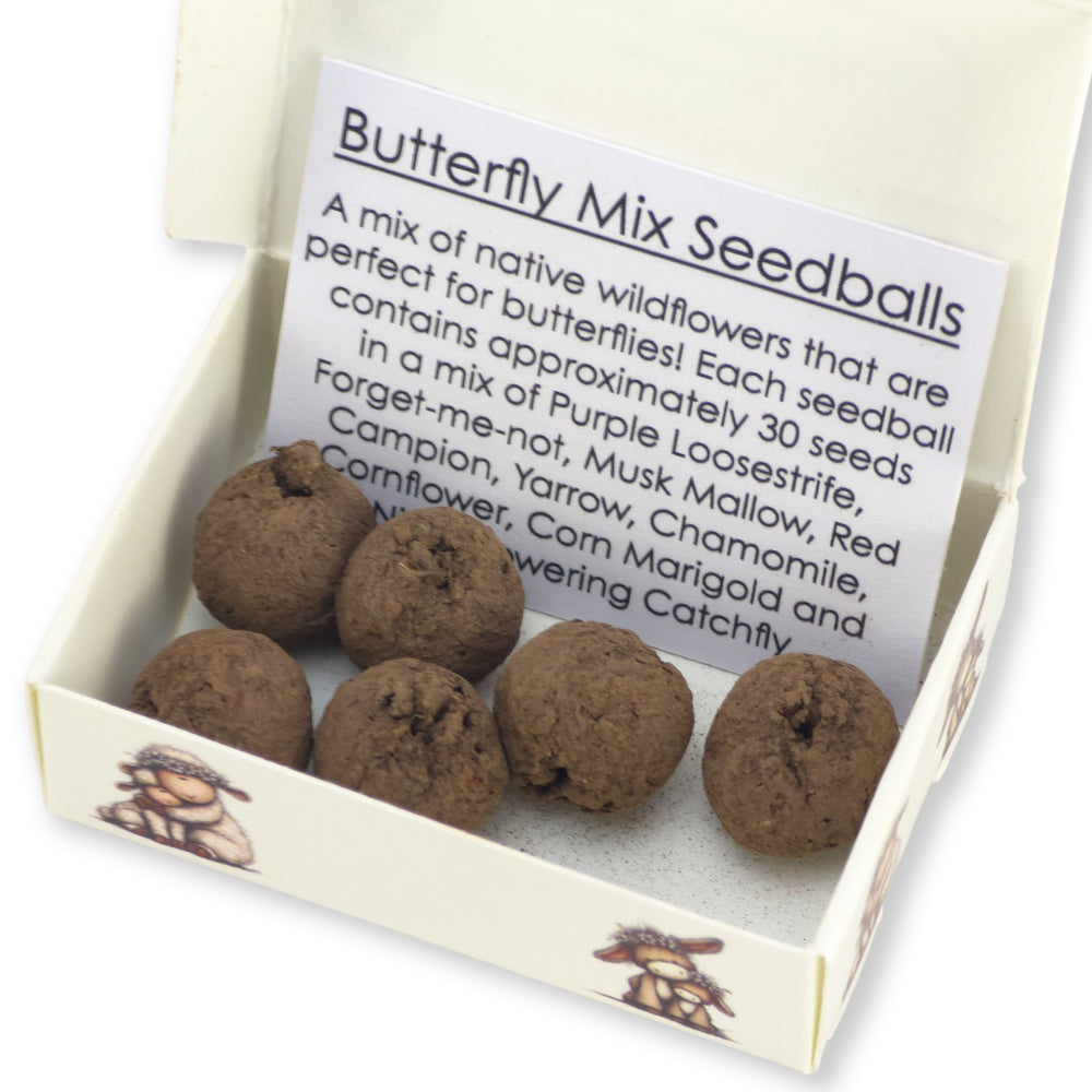 Amazing Mum | Box of 6 Seedballs | Butterfly Mix | Cracker Filler | Little Gift
