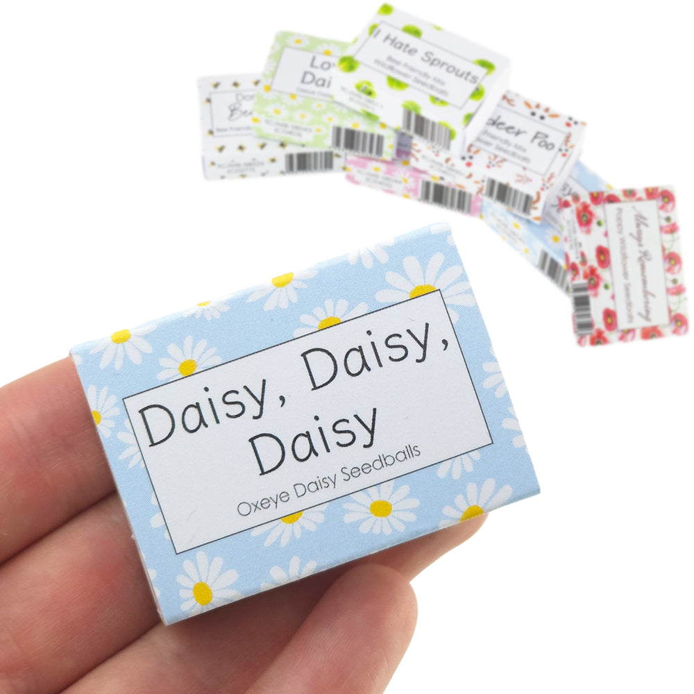 Blue Daisy Design | 6 Seedball Box | Oxeye Daisies | Cracker Filler | Mini Gift