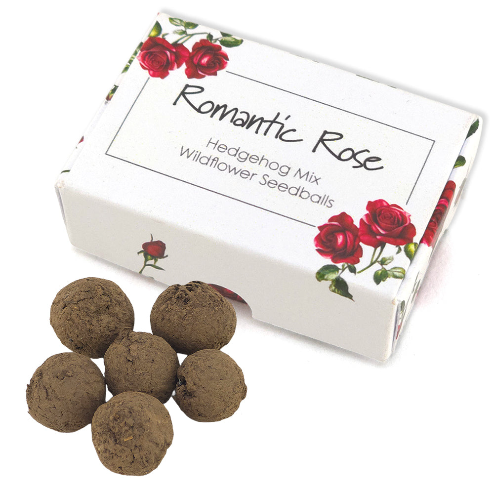Romantic Rose | Hedgehog Friendly Seedball Box | Valentines Cracker Filler Gift