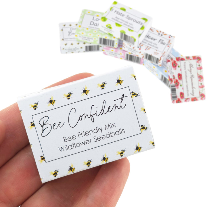 Bee Confident | 6 Seedball Matchbox | Bee Mix | Cracker Filler | Little Gift