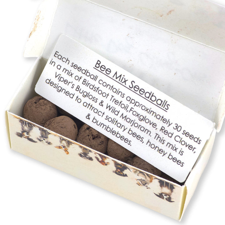 Little Dog Cling-Ons | Box of 20 Bee Mix Seedballs | Cracker Filler | Little Gift