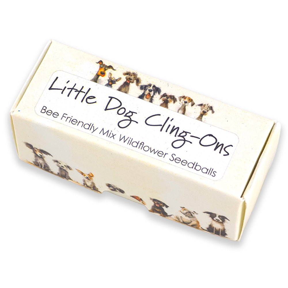 Little Dog Cling-Ons | Box of 20 Bee Mix Seedballs | Cracker Filler | Little Gift
