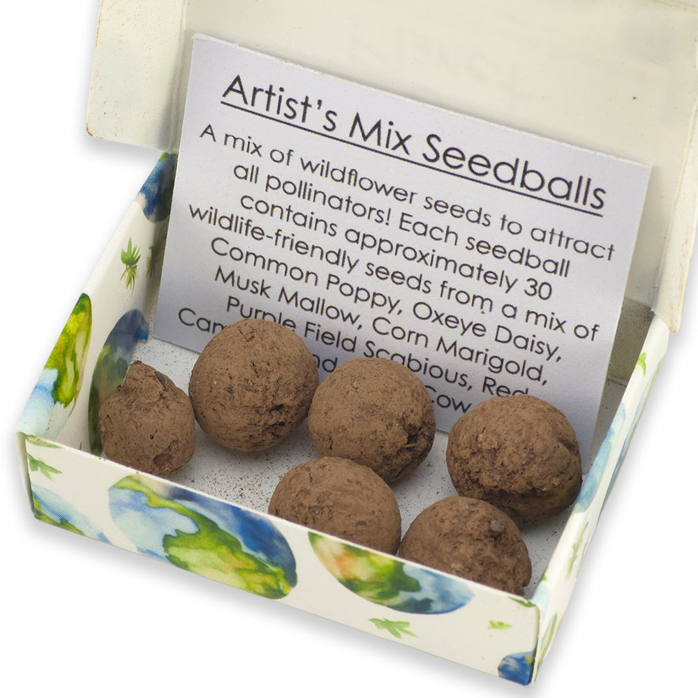 Loving Our Planet | Artist Mix | 6 Seedball Box | Cracker Filler | Little Gift