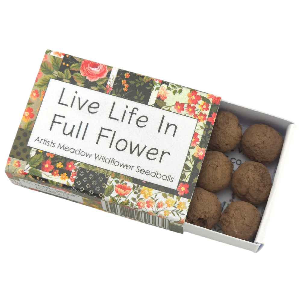 Live Life in Full Flower | Artist Mix | 6 Seedball Box | Cracker Filler Gift