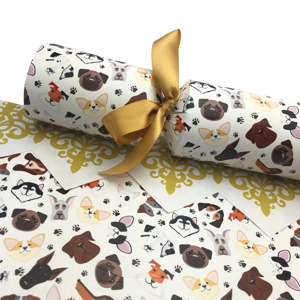 Dog Faces | Cracker Making Craft Kit | Make &amp; Fill Your Own