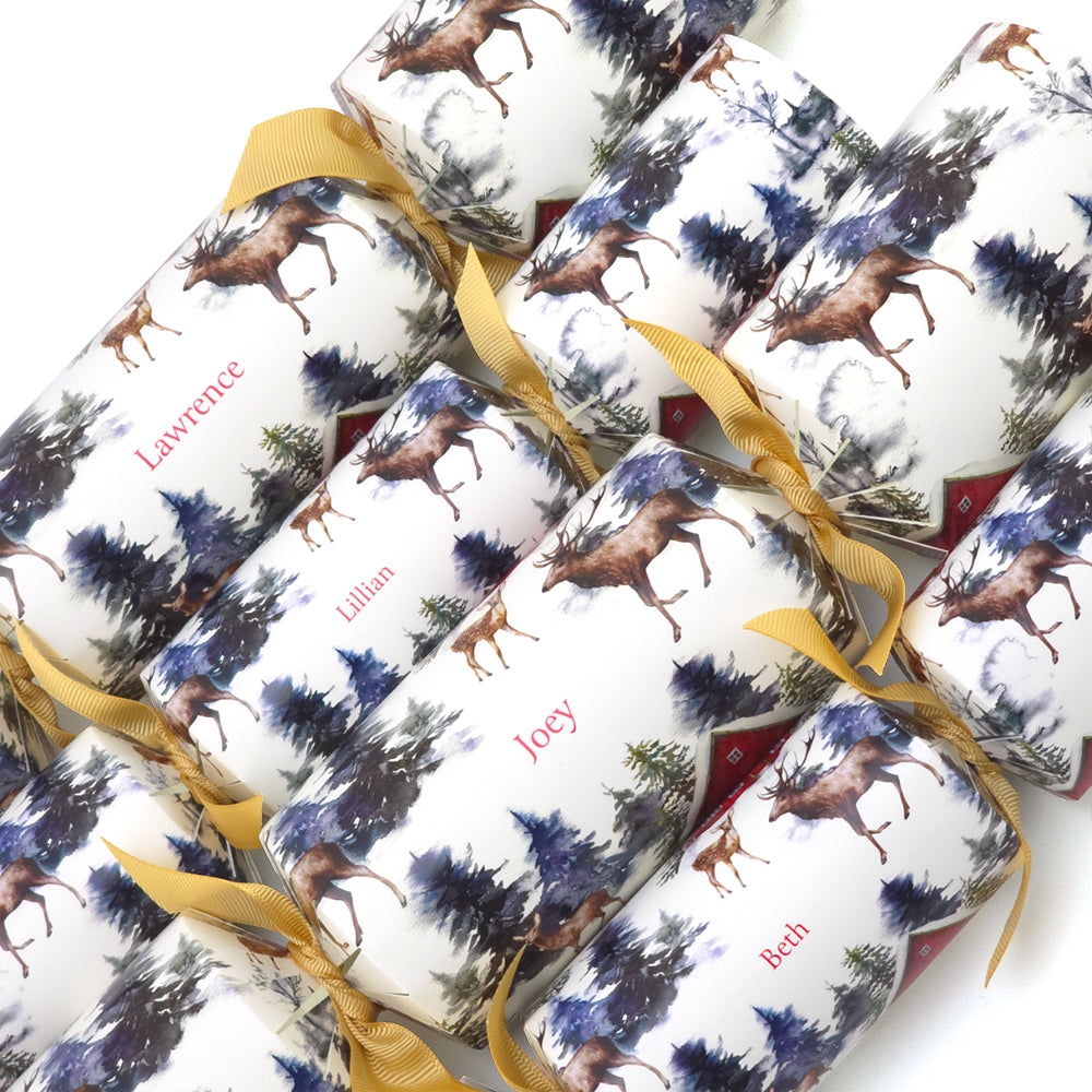 Personalised Cracker Making Craft Kit | Christmas in the Alps | Minimum 4