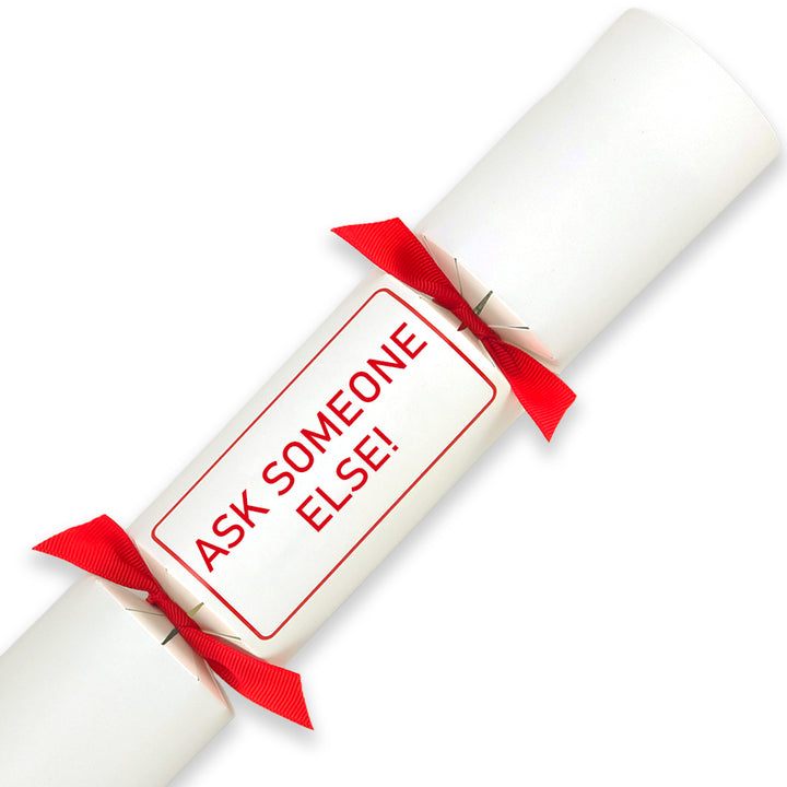 Ask Someone Else! | Single Cracker Making Craft Kit | Office Banter