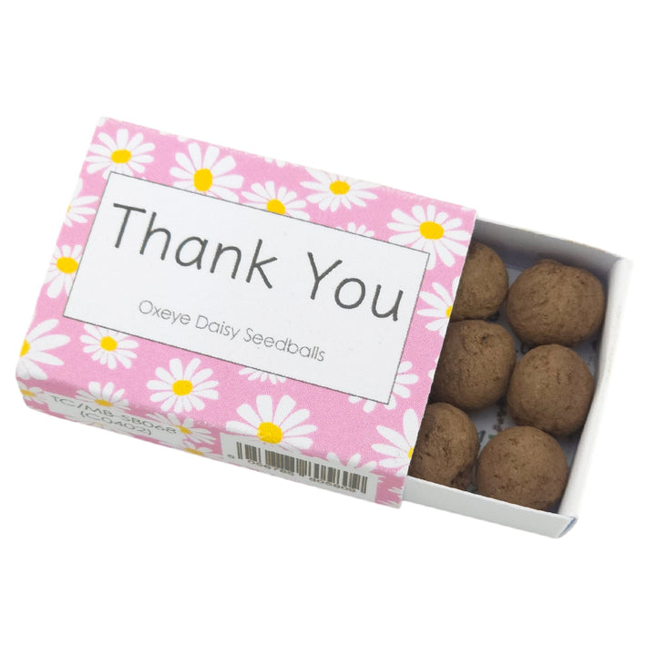 Thank You | Seedball Matchbox | Oxeye Daisies | Cracker Filler | Mini Gift