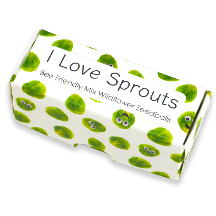 I Love Sprouts | Box of 20 Bee Mix Seedballs | Cracker Filler | Little Gift