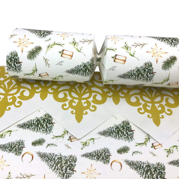 Classic Watercolour Christmas | Cracker Making Craft Kit | Make &amp; Fill Your Own