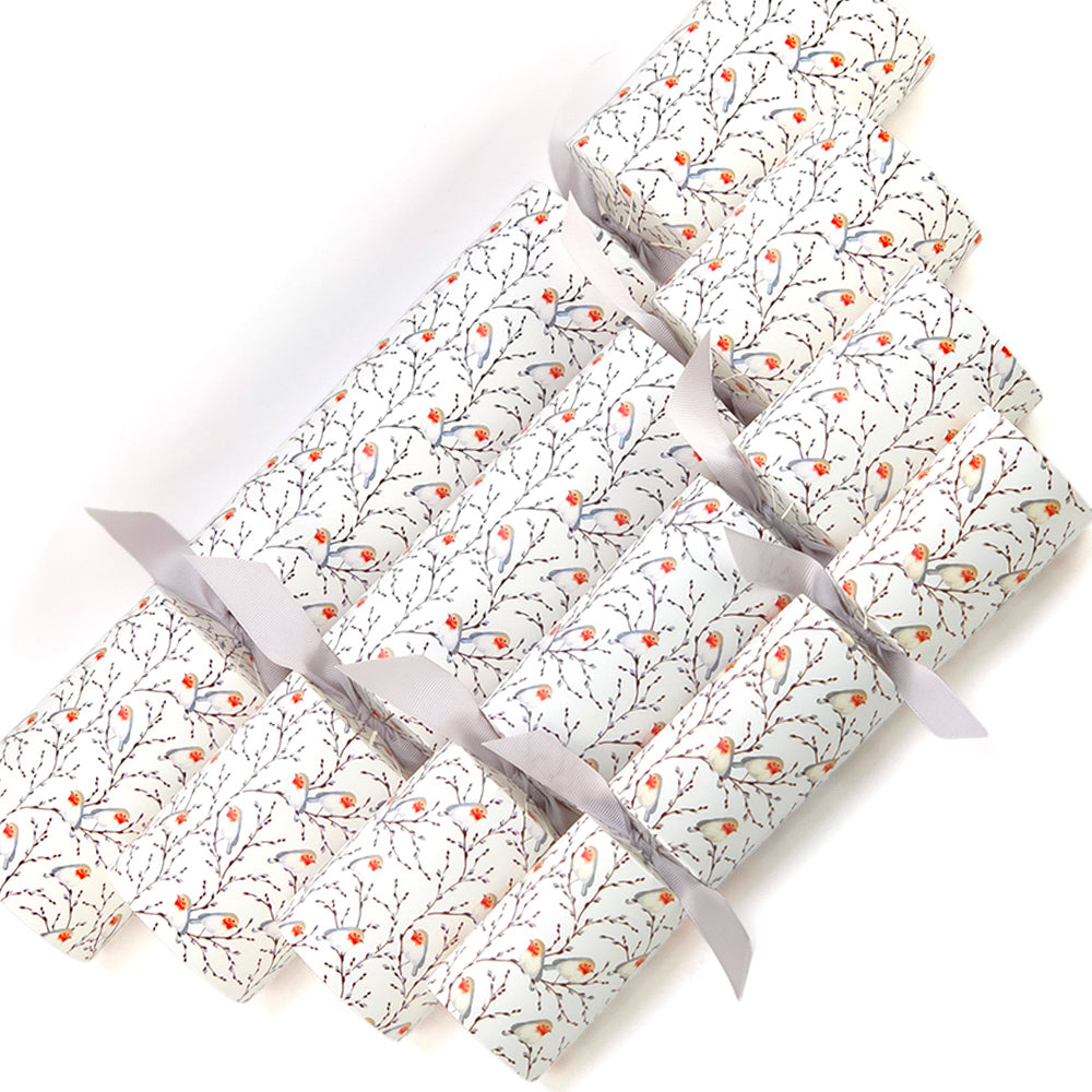 Extra Large &amp; Jumbo | Reusable Keepsake DIY Cracker Sets | Willow &amp; Robin