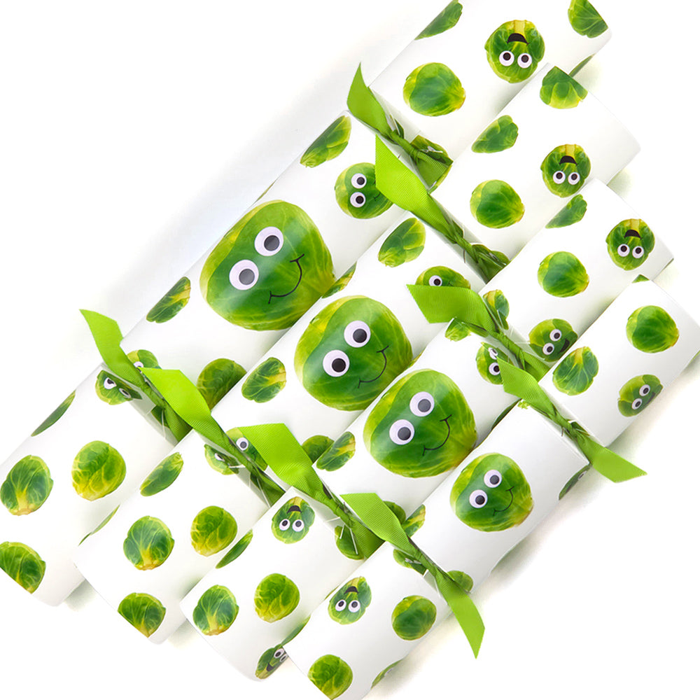 Extra Large &amp; Jumbo | Reusable Keepsake DIY Cracker Sets | Googly Sprouts