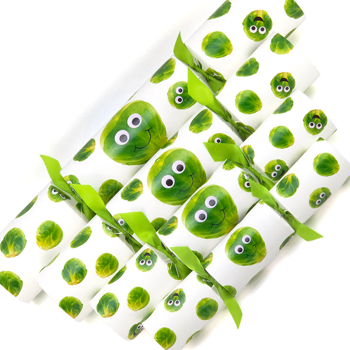 Extra Large &amp; Jumbo | Reusable Keepsake DIY Cracker Sets | Googly Sprouts