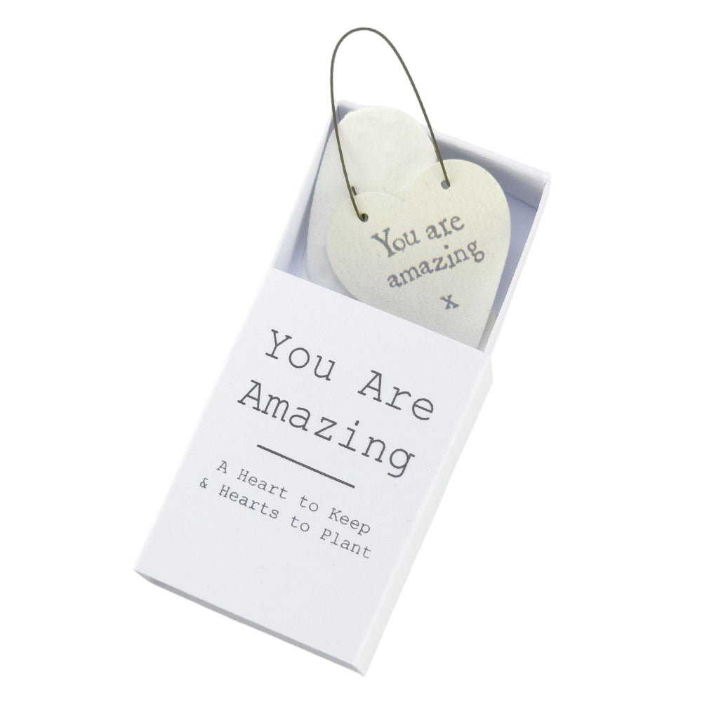 You are Amazing | Hearts to Keep and to Plant | Cracker Filler | Mini Gift