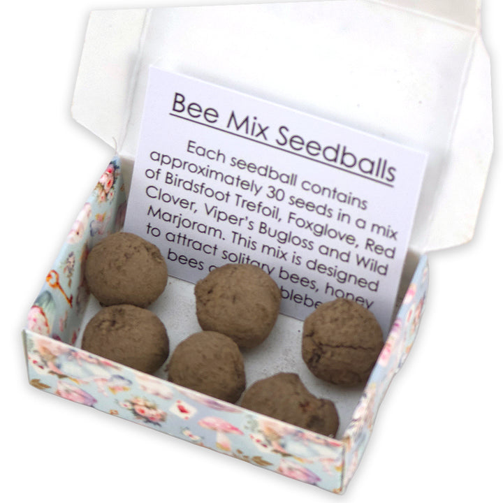 Happy Easter | Springtime Alice | 6 Seedball Box | Bee Mix | Cracker Filler