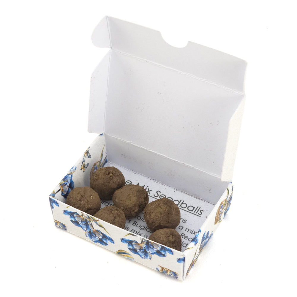 Happy Easter in Blue | 6 Seedball Box | Bee Mix | Cracker Filler | Little Gift