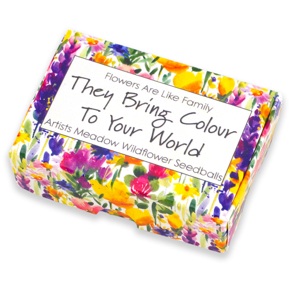 Flowers Are Like Family | Artist Mix | 6 Seedball Box | Cracker Filler Gift