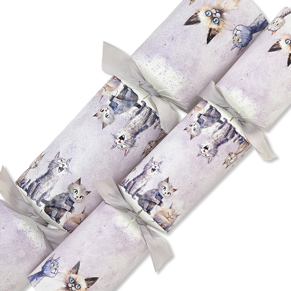 Funny Cats | Cracker Making Craft Kit | Make &amp; Fill Your Own