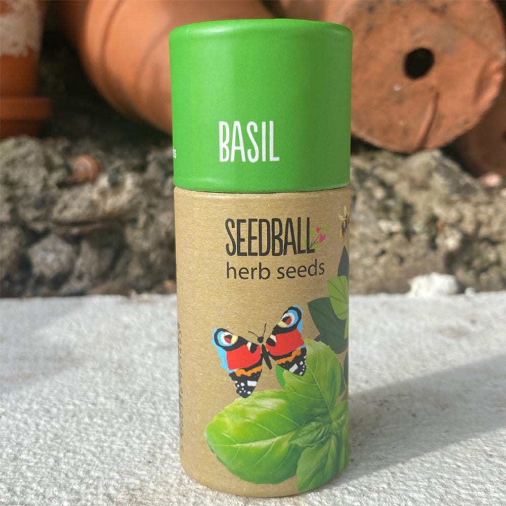 Basil | Luxury Tube of Seedballs | Cracker Filler | Mini Gift