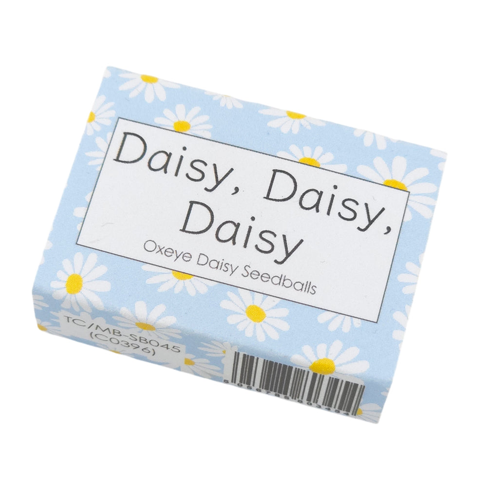 Blue Daisy Design | 6 Seedball Box | Oxeye Daisies | Cracker Filler | Mini Gift