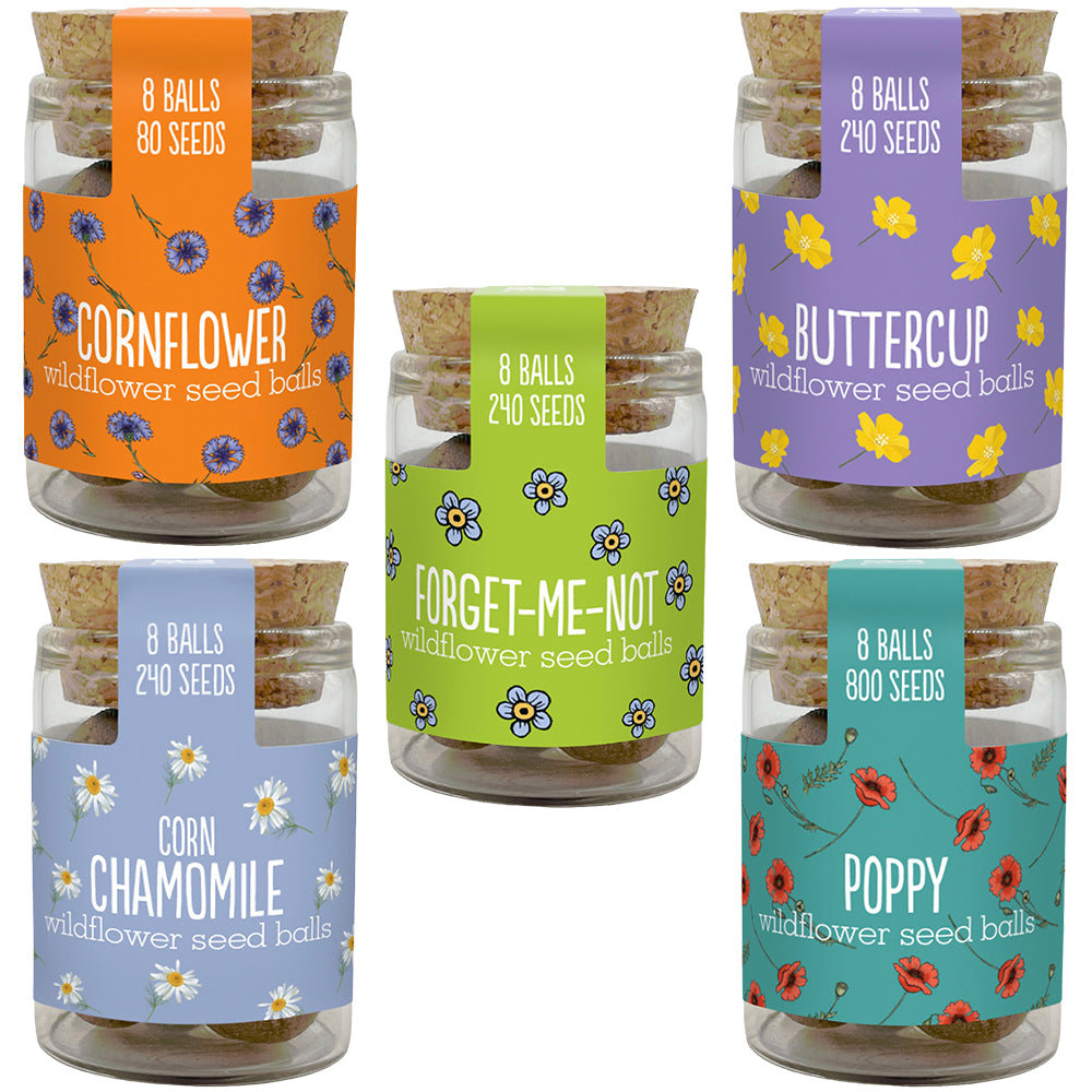 Gorgeous Wildflower Seed Ball Jar | 8 Balls | Cracker Filler | Little Gift